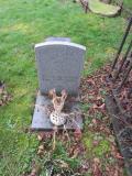 image of grave number 485198